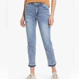 Wit & Wisdom Ab’solution High Waisted Distressed Skinny Jean (Nordstrom)